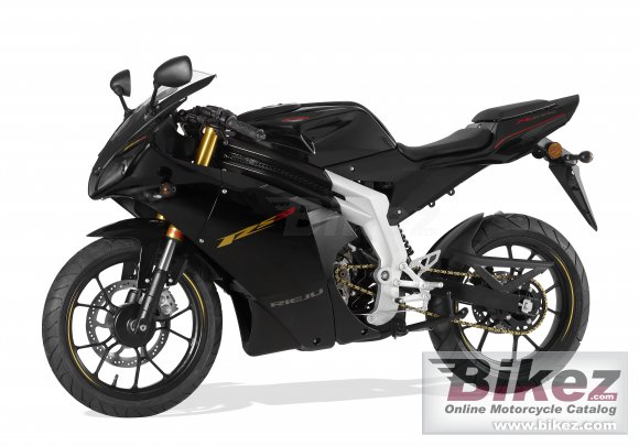 2011 Rieju RS3 50   photo
